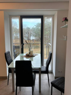 Haubentaucher mit Meerblick, Binz